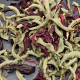 Infusion plaisirs : verveine / hibiscus - image 2