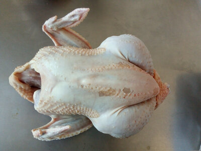 Poulet élevé en plein air 3,3-3,6