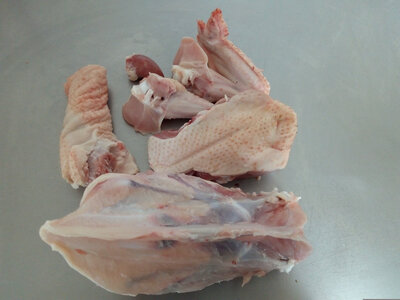 Carcasse de poulet