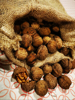 Noix fraiches 3kg