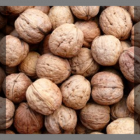 Noix fraîches