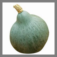 Courge blue ballet