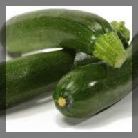 Courgette (non-hybride)