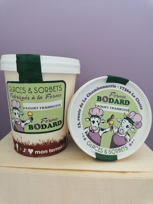 Yaourt glacé coulis framboise