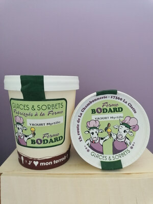 Yaourt glacé coulis myrtille