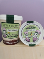 Crème glacée pineau coulis melon