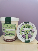 Yaourt glacé nature