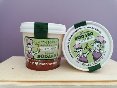 Yaourt glacé coulis melon