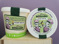 Yaourt glacé coulis melon