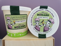 Yaourt glacé coulis myrtille