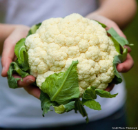 Choux fleur