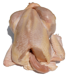 Poule fermière
