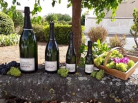 Bouteille champagne brut tradition