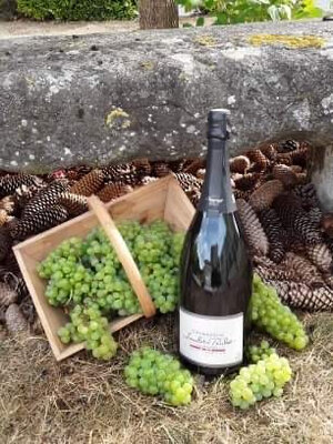 Magnum champagne brut tradition