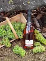 Bouteille champagne rosé