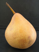 Poire de caux