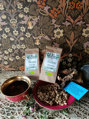 Tisane de gentiane