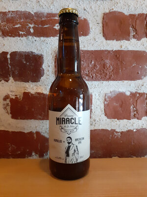 Bière blonde 'ipa' humulus+ 33cl - 6,4%