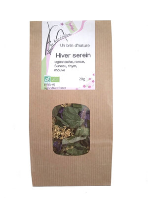 Tisane hiver