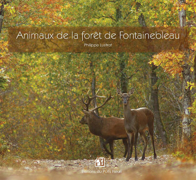 Animaux de la forêt de fontaineblea