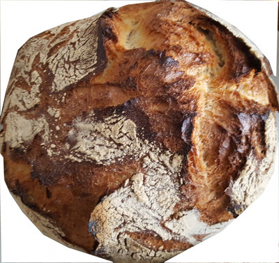 Boule bio
