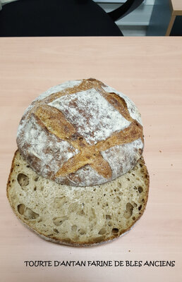 Tourte de meule bio