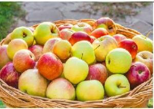 Panier de pommes