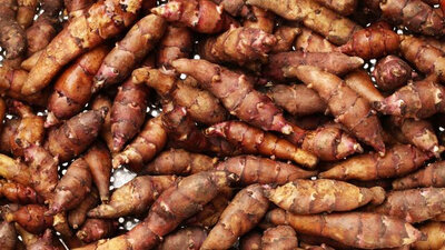 Topinambour bio 500gr