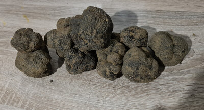 Truffe tuber melano 100gr