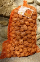 Noix de grenoble bio10 kg