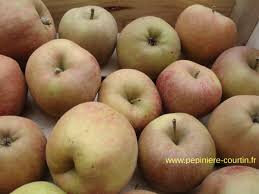 Pommes boskoop 2kg