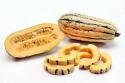 Delicata
