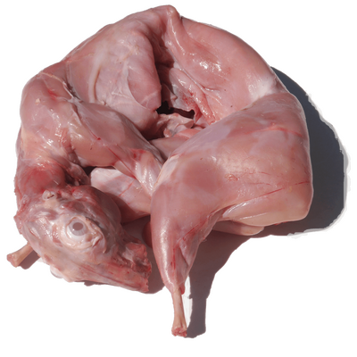 Lapin fermier