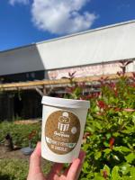 Sorbet poire d'anjou pépites chocolat