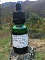 Macérat mère bourgeons framboisier