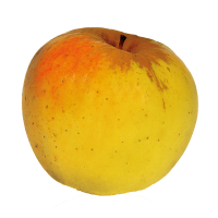 Pomme bio opale