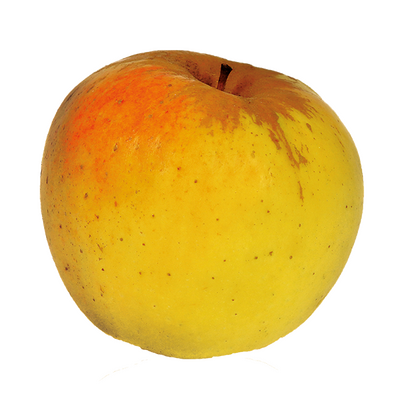 Pomme bio opale