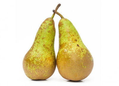 Poire conférence