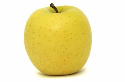 Pomme golden