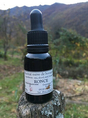 Macérat mère bourgeons ronce