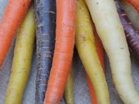 Carotte de couleurs botte