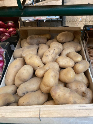 Pomme de terre bio