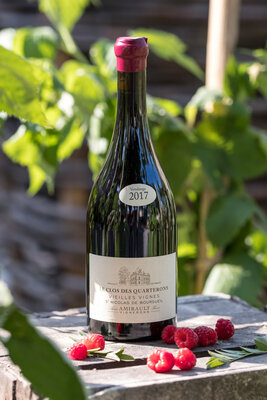 Vielles vignes des quarterons 2017