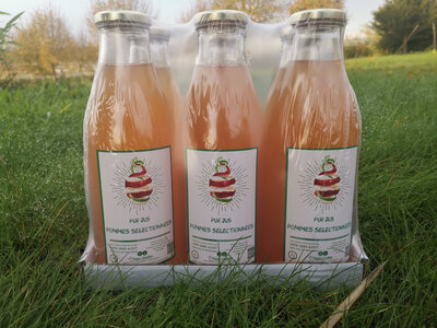 Pack 6 jus pomme