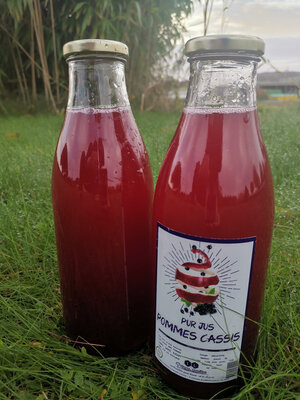Lot 2 bouteilles pomme cassis