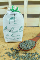 Lentilles vertes bio