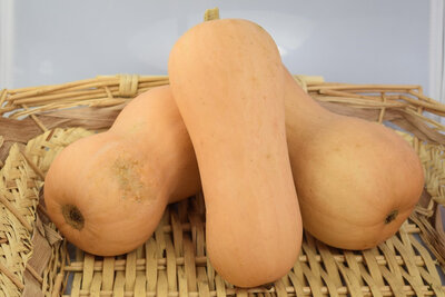 Butternut bio 1,5 kg