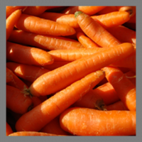'petites' carottes nouvelles (non-hybrides)