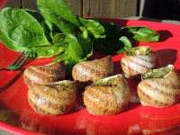 Coquille à la bourguignonne