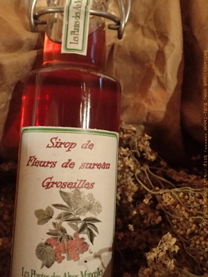 Sirop de groseilles fleurs de sureau